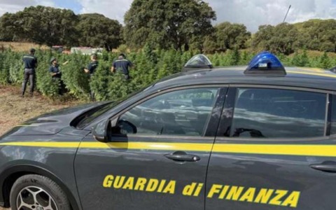 Sequestrati 6.500 pacchetti di sigarette senza contrassegni