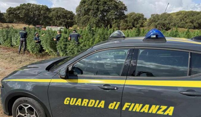 Sequestrati 6.500 pacchetti di sigarette senza contrassegni