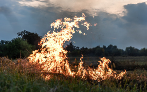 Incendio nei capannoni, aria senza alterazioni: indagini aperte