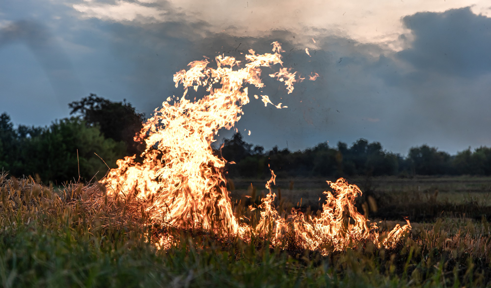 Incendio nei capannoni, aria senza alterazioni: indagini aperte