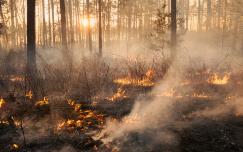 Incendio in una baracca a Vaiano, 78enne ustionato