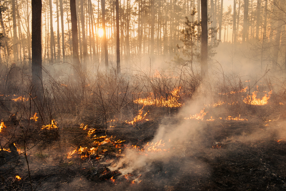 Incendio in una baracca a Vaiano, 78enne ustionato