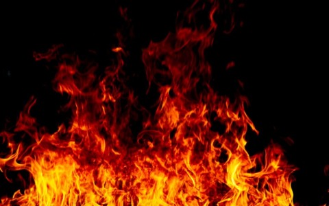Incendio nel bosco: ripresa delle fiamme dopo una settimana